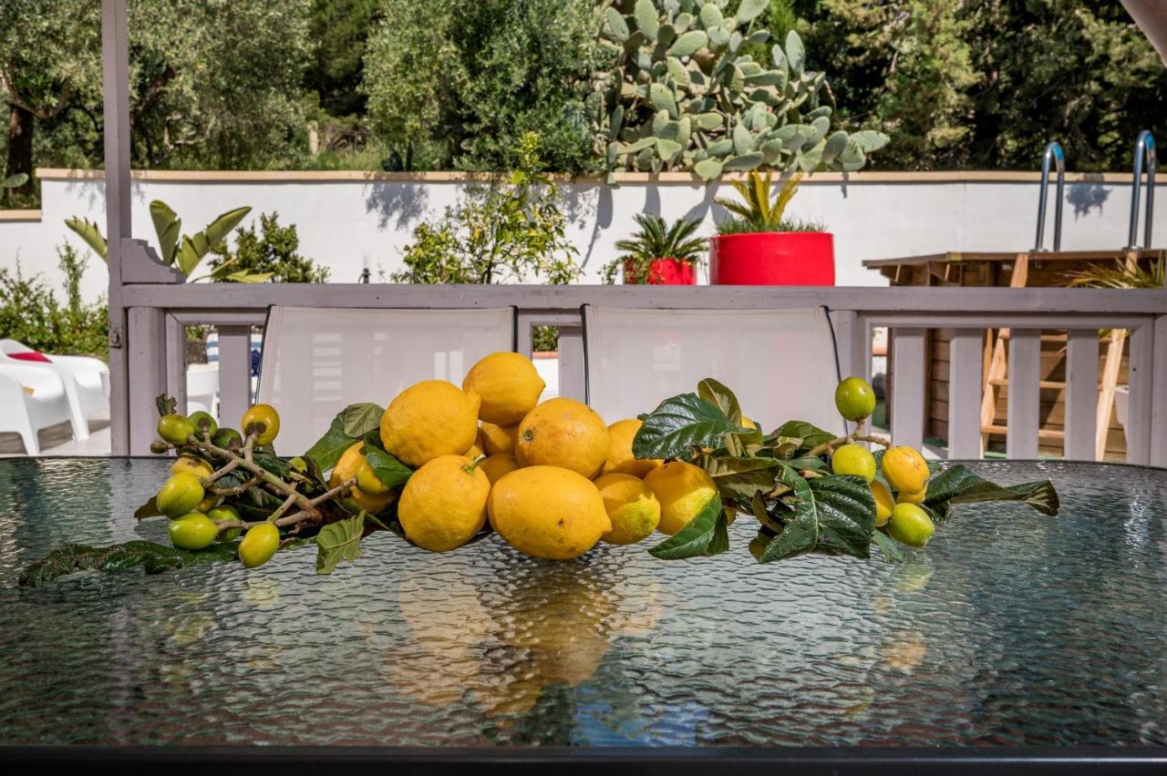 Villa Gagliardetta Castellammare del Golfo Zewnętrze zdjęcie