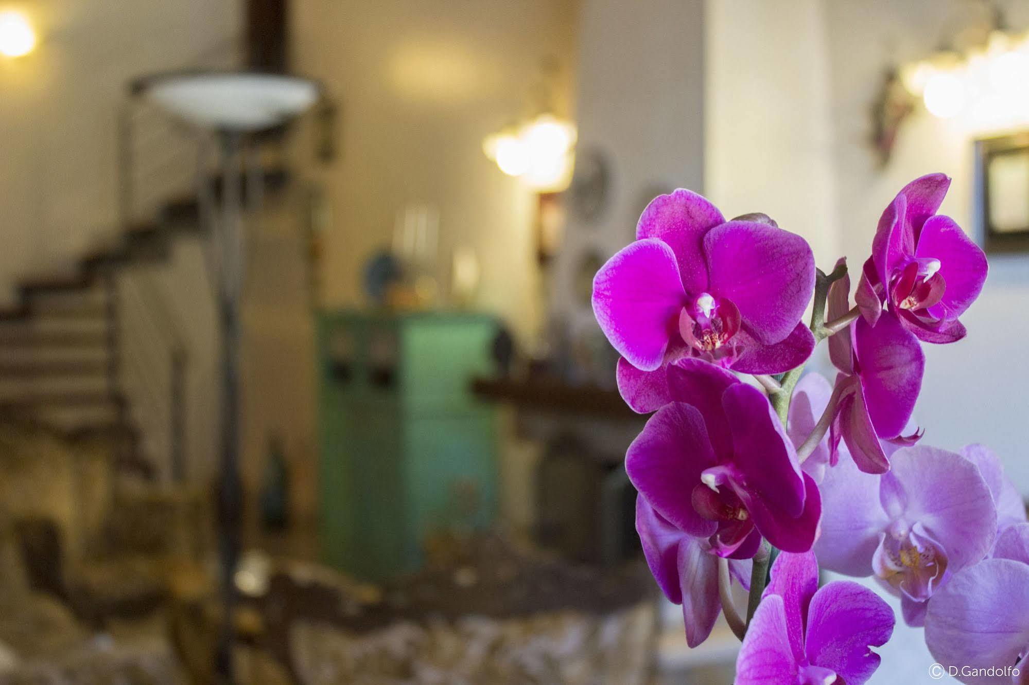 Villa Gagliardetta Castellammare del Golfo Zewnętrze zdjęcie